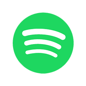 spotify the invisblemens